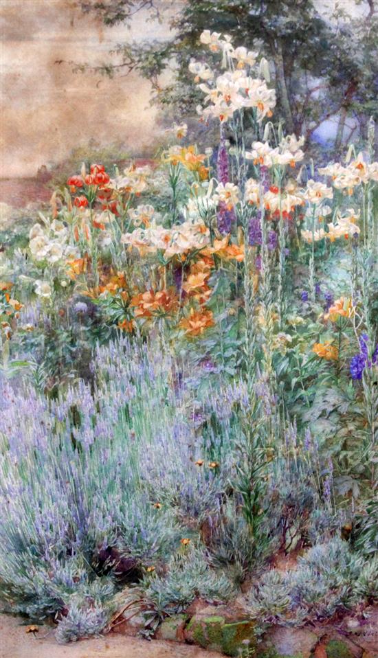 James Valentine Jelley (1885-1942) Lilies and lavender in a herbaceous border 19.5 x 12.25in.